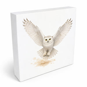 Schneeeulenzauber Schneeeule Flug Holzbild in 10x10 cm zum Stellen oder Aufhängen