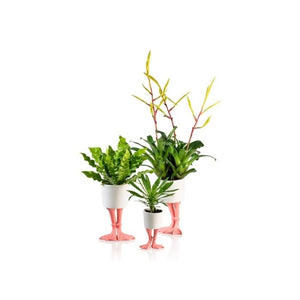 Flamingo Füße Mini Blumentopf aus Porzellan