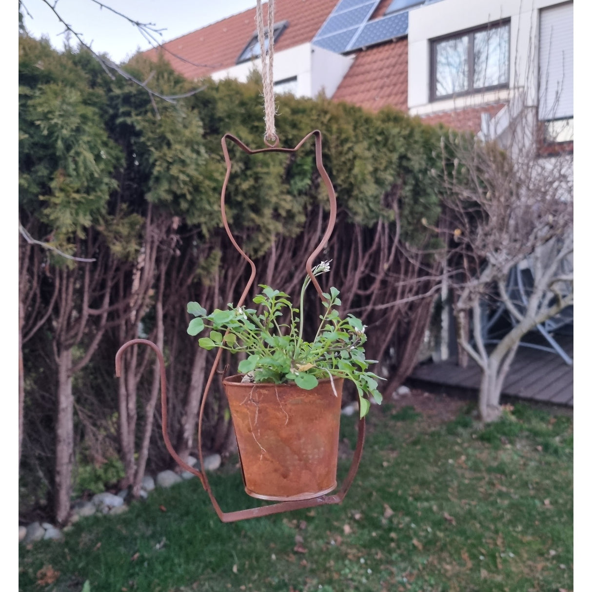 Katze Blumentopf
