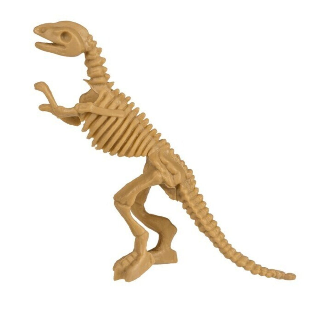 Dinosaurier Skelett Ausgrabungsset mit Meißel und Pinsel (zufällige Variante)