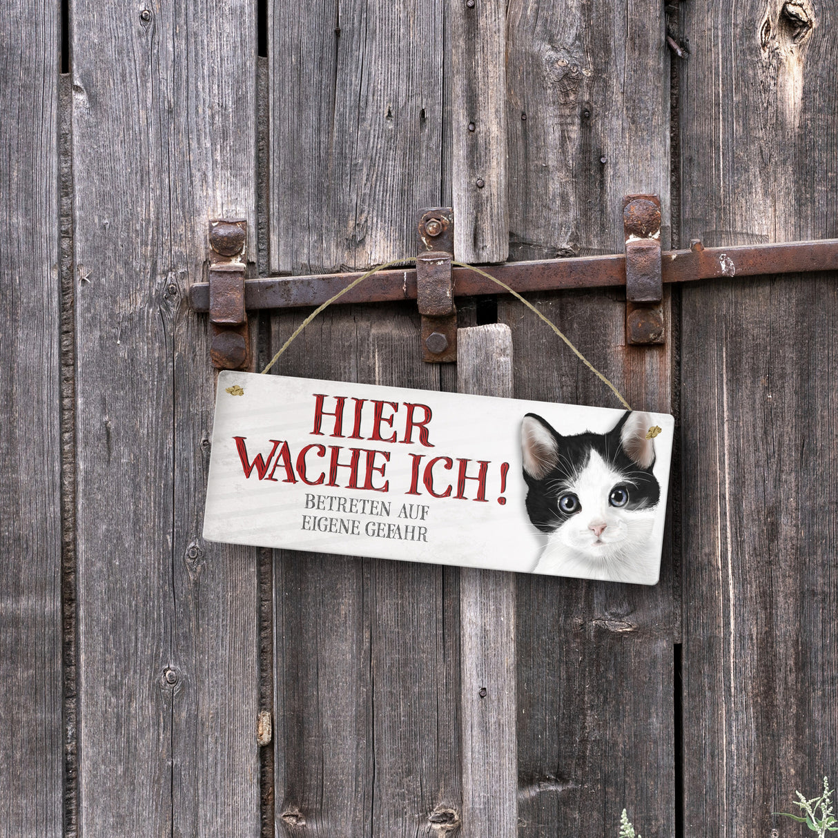 Metallschild mit Katze Motiv und Spruch: Betreten auf eigene Gefahr ...