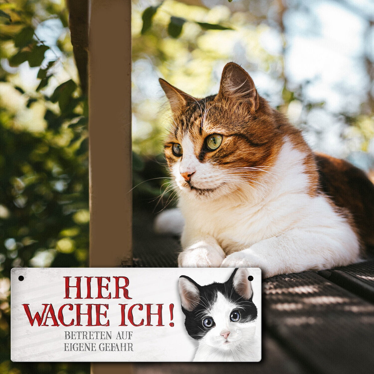 Metallschild mit Katze Motiv und Spruch: Betreten auf eigene Gefahr ...