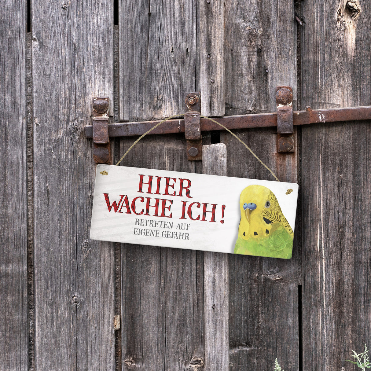 Metallschild mit Wellensittich Motiv und Spruch: Betreten auf eigene Gefahr ...