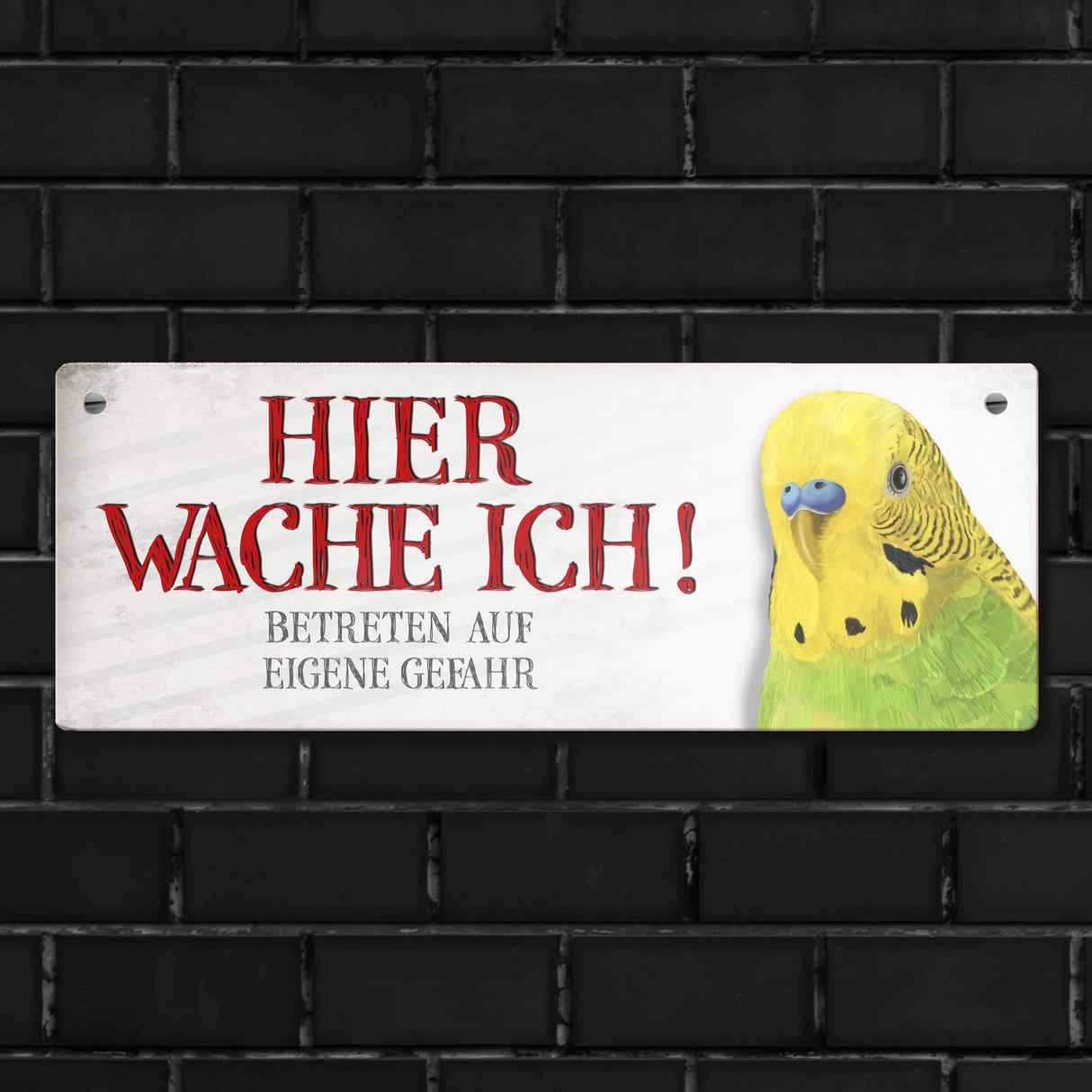 Metallschild mit Wellensittich Motiv und Spruch: Betreten auf eigene Gefahr ...