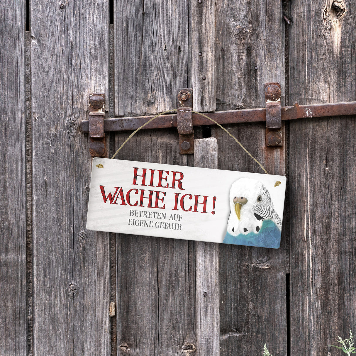 Metallschild mit Wellensittich Motiv und Spruch: Betreten auf eigene Gefahr ...