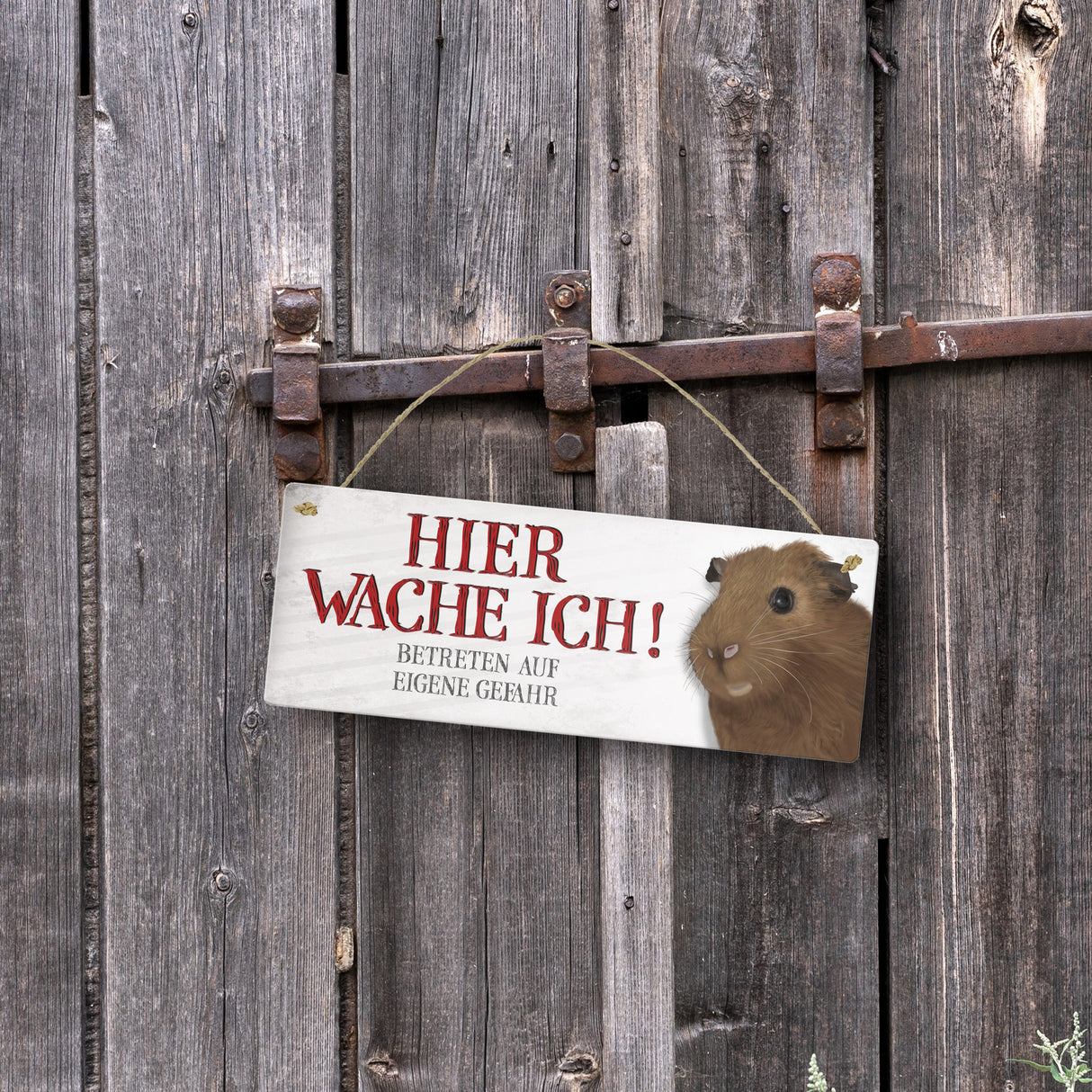 Metallschild mit Meerschweinchen Motiv und Spruch: Betreten auf eigene Gefahr ...