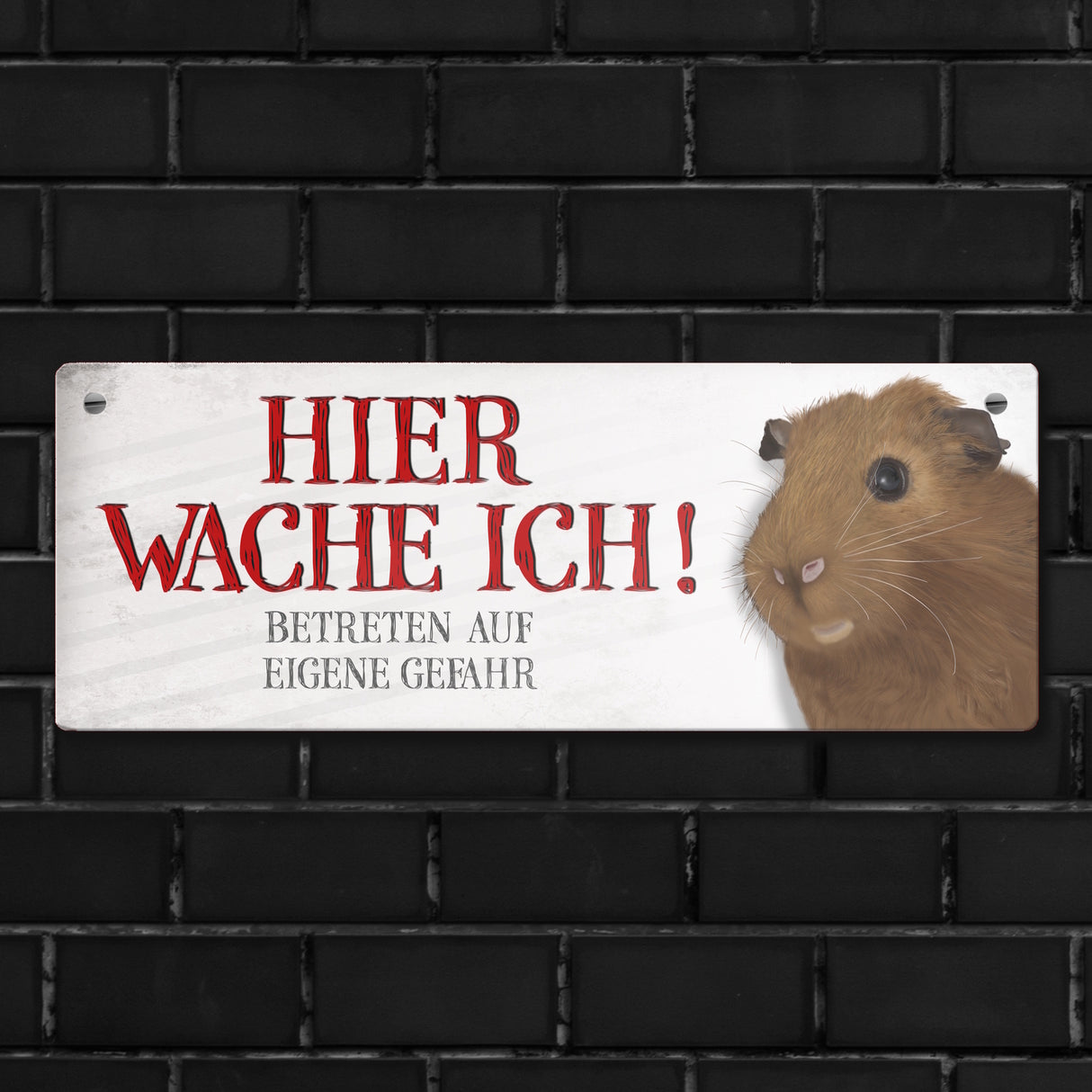 Metallschild mit Meerschweinchen Motiv und Spruch: Betreten auf eigene Gefahr ...
