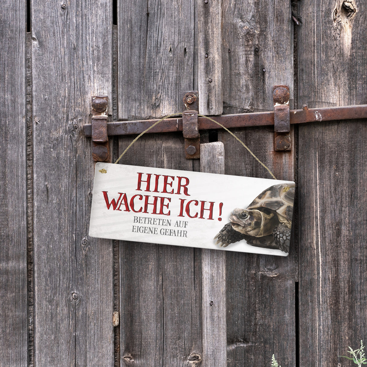 Metallschild mit Schildkröte Motiv und Spruch: Betreten auf eigene Gefahr ...