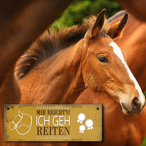 Metallschild mit Spruch: Mir reichts! Ich geh reiten