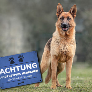Metallschild mit Spruch: Aggressives Herrchen - der Hund ...