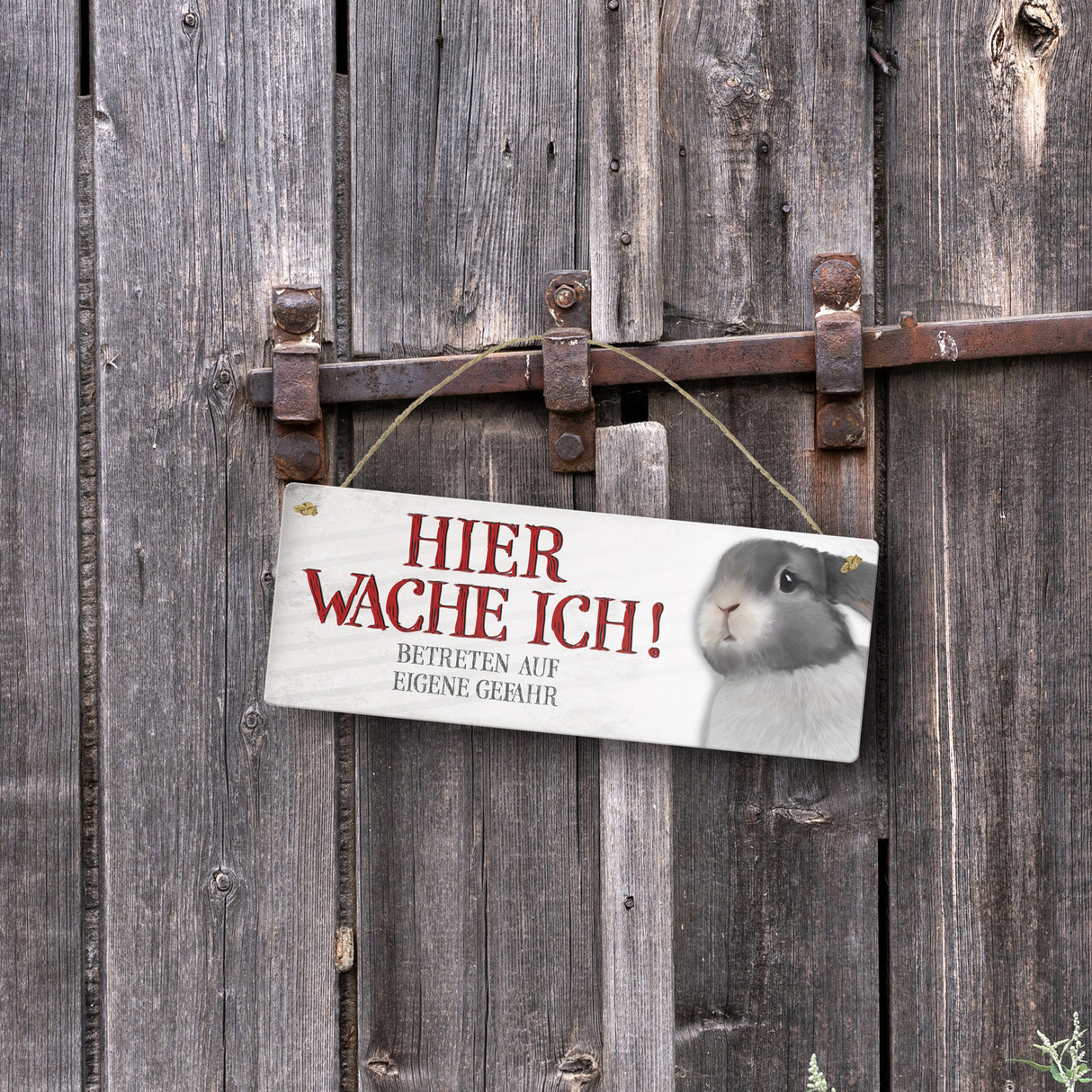 Metallschild mit Hase Motiv und Spruch: Betreten auf eigene Gefahr ...