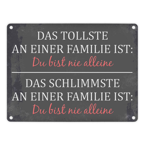 Metallschild mit Spruch: Das Tollste an einer Familie ist: ...