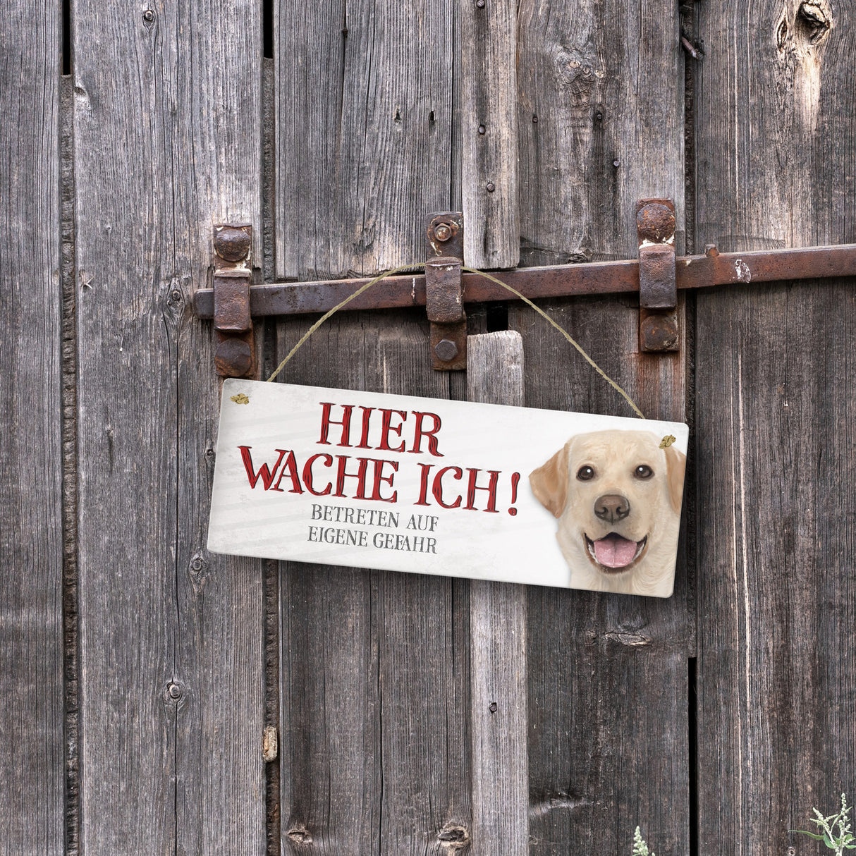 Metallschild mit Labrador Motiv und Spruch: Betreten auf eigene Gefahr ...
