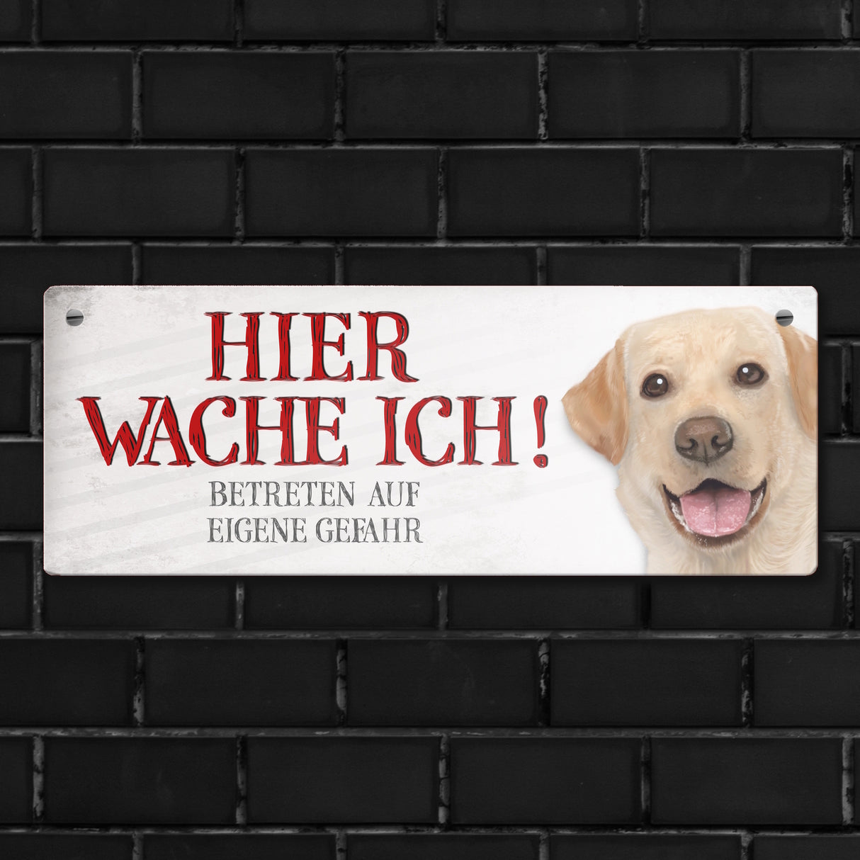Metallschild mit Labrador Motiv und Spruch: Betreten auf eigene Gefahr ...