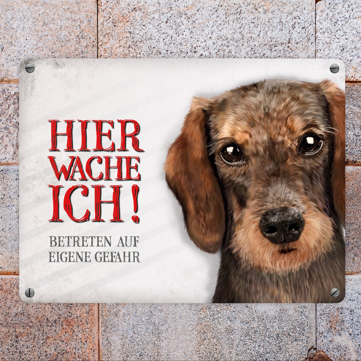 Metallschild mit Dackel Motiv und Spruch: Betreten auf eigene Gefahr ...