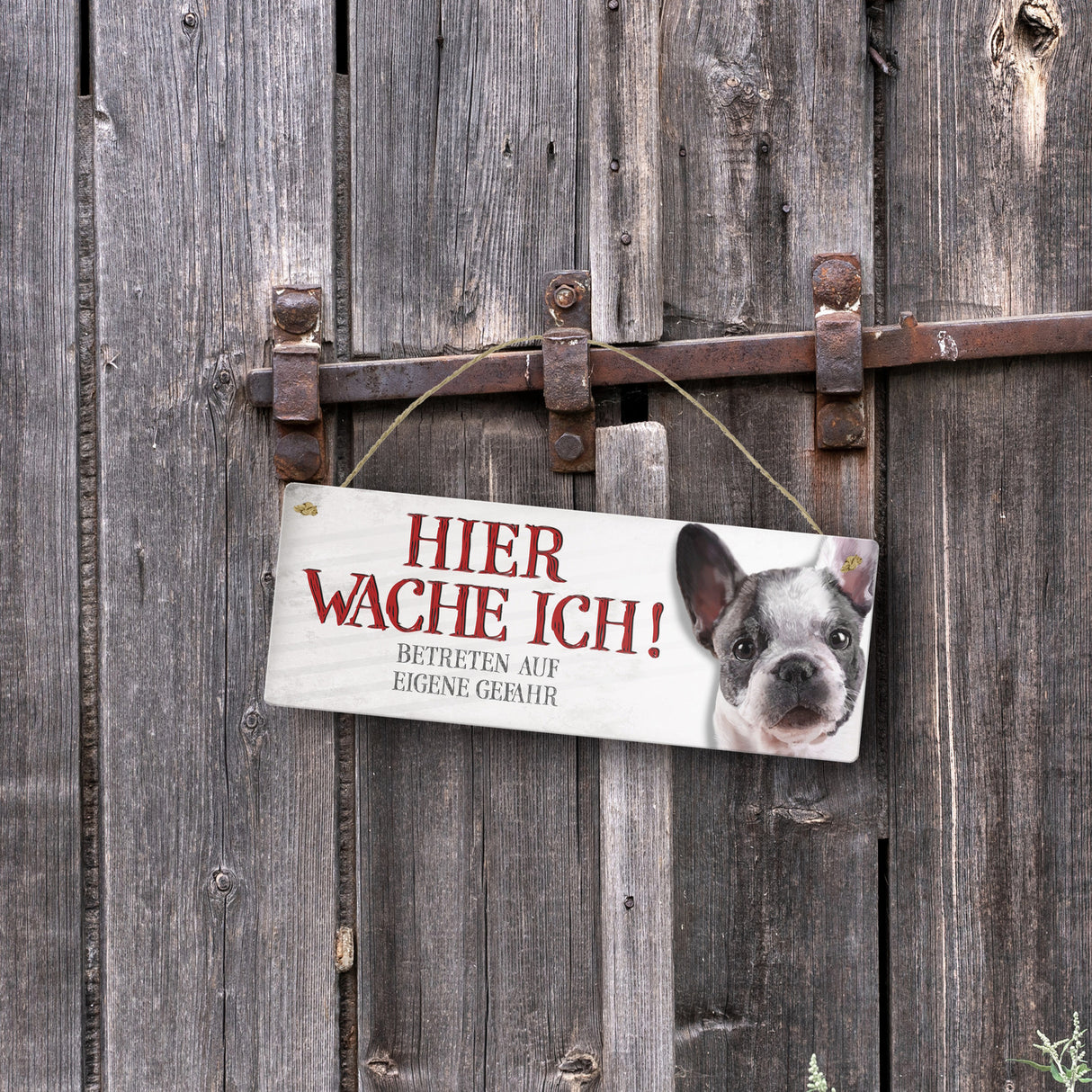 Metallschild mit Französische Bulldogge Motiv und Spruch: Betreten auf eigene Gefahr ...