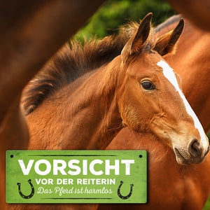 Metallschild mit Spruch: Vorsicht vor der Reiterin, das ...