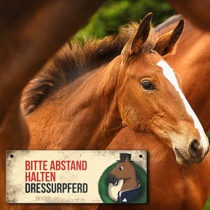 Metallschild mit braunem Dressurpferd Motiv und Spruch: Bitte Abstand halten