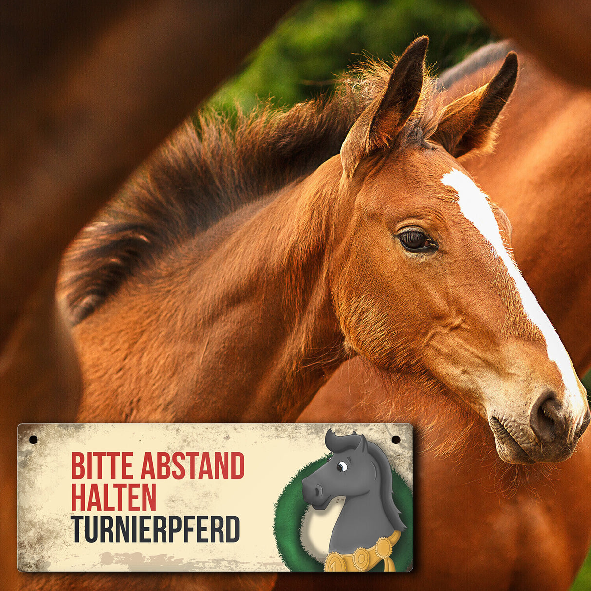 Metallschild mit schwarzem Turnierpferd Motiv und Spruch: Bitte Abstand halten