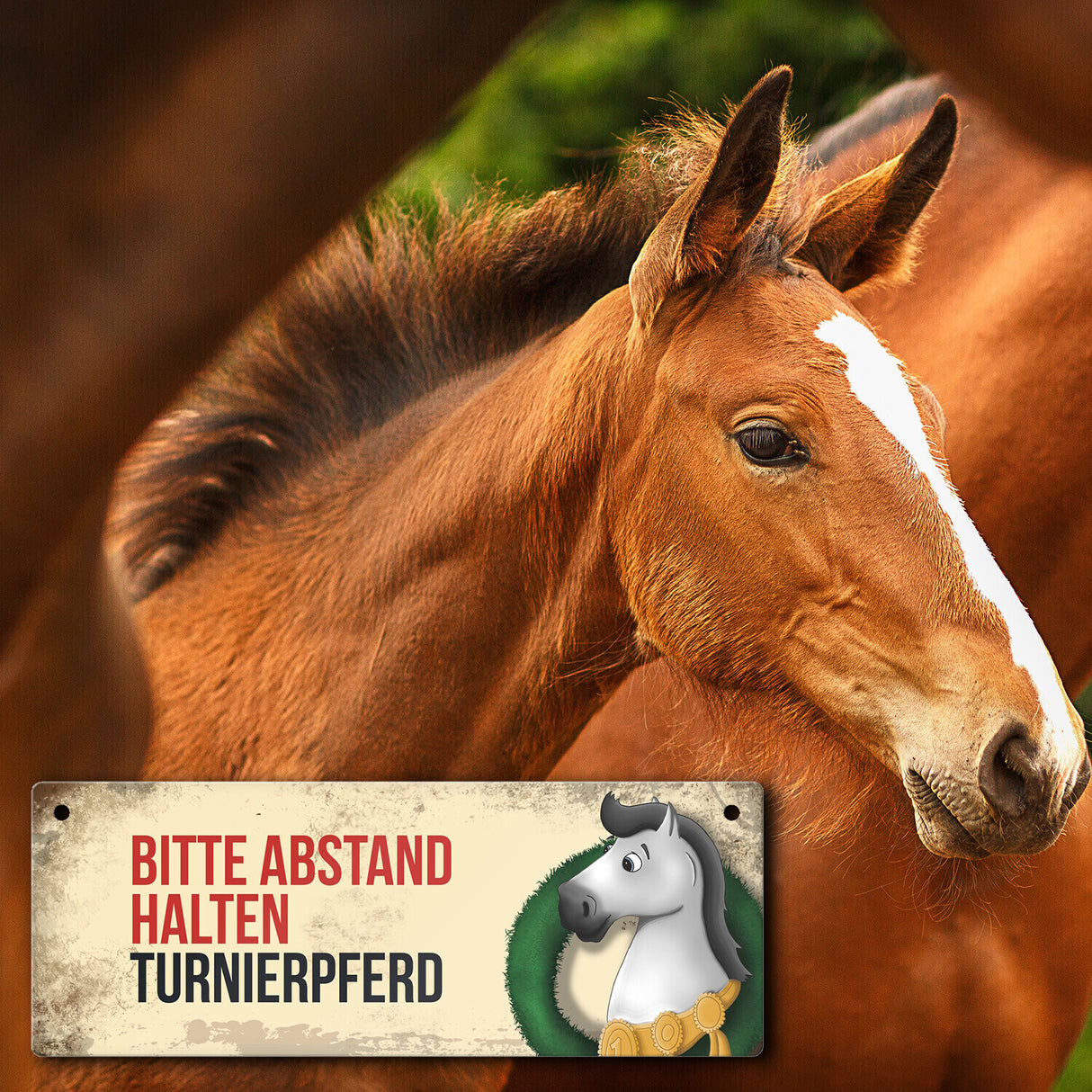 Metallschild mit weißem Turnierpferd Motiv und Spruch: Bitte Abstand halten