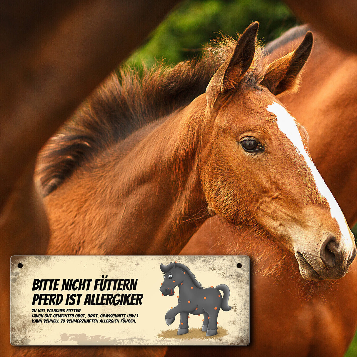 Metallschild mit schwarzem Pferd Motiv und Spruch: Bitte nicht füttern - Allergiker