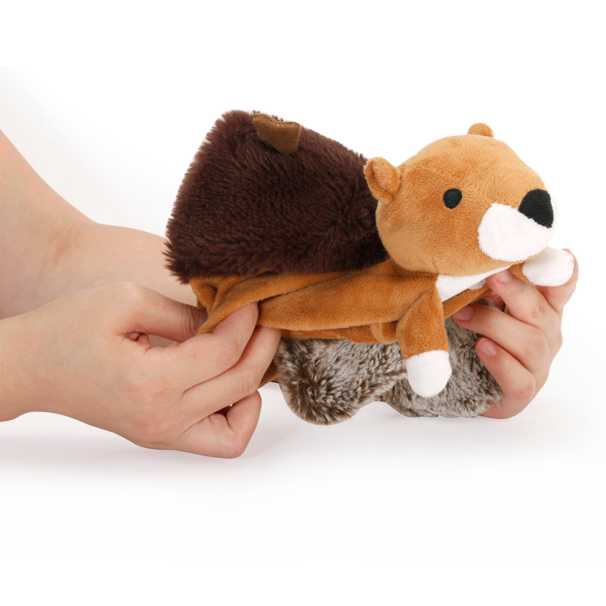 Eichhörnchen 2in1 Hundespielzeug