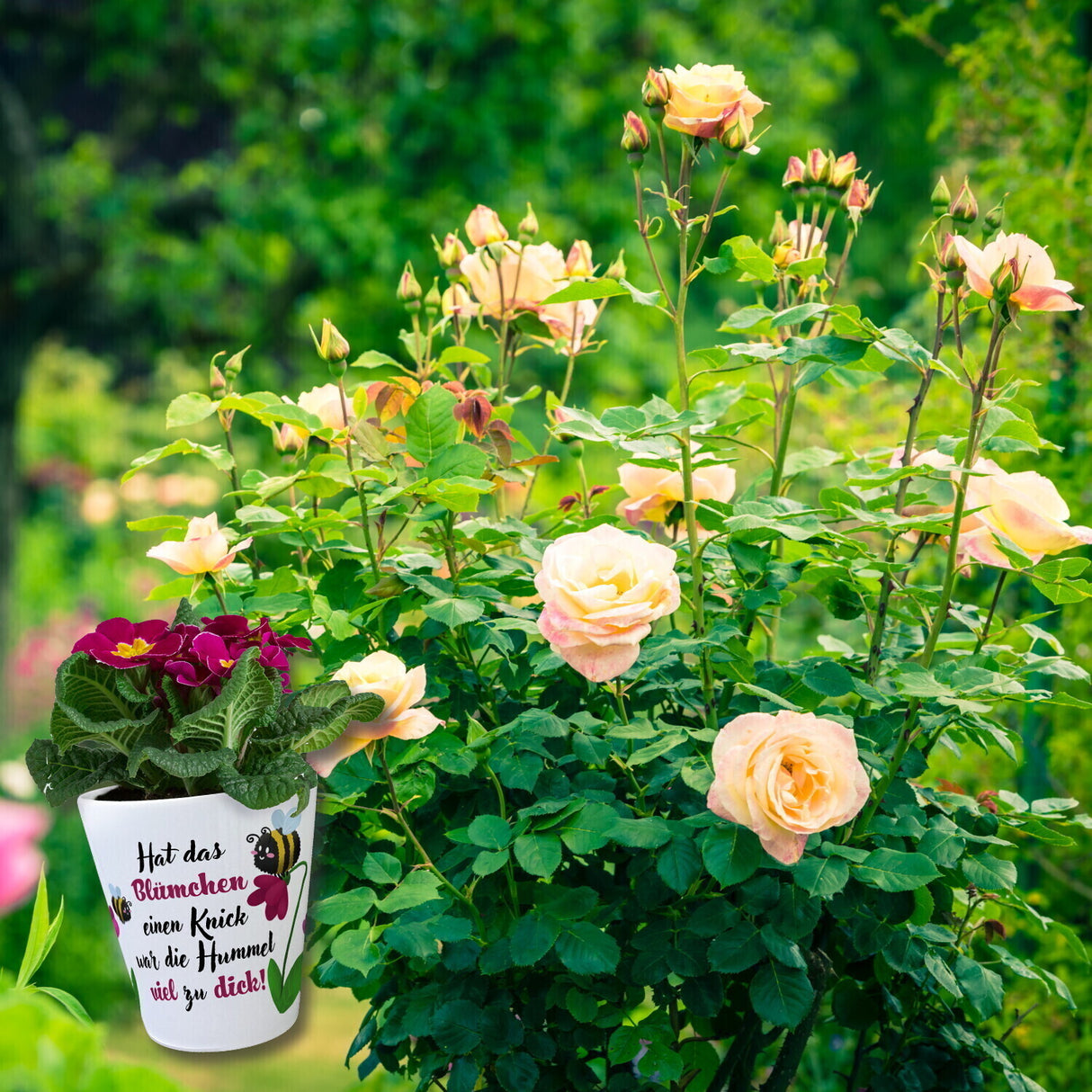 Hat das Blümchen einen Knick Blumentopf aus Keramik