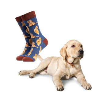 Golden Retriever Hund Soctopus Socken in 43-46 im Paar