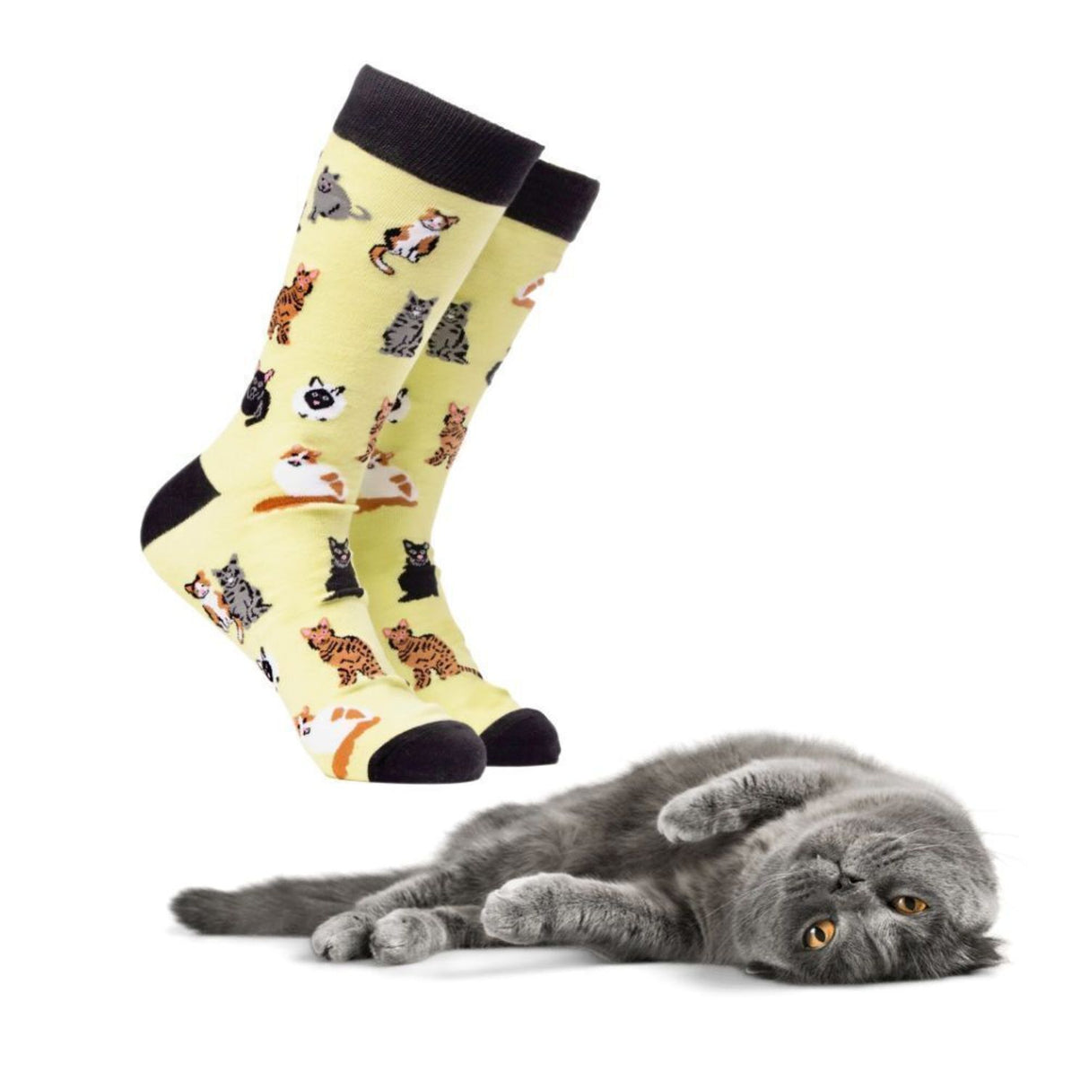 Katzenfreund Soctopus Socken in 37-42 im Paar
