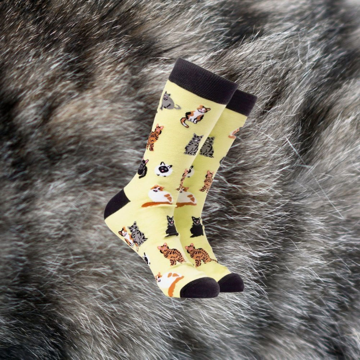 Katzenfreund Soctopus Socken in 37-42 im Paar