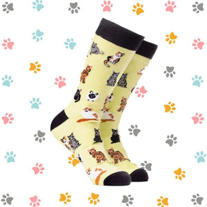 Katzenfreund Soctopus Socken in 37-42 im Paar