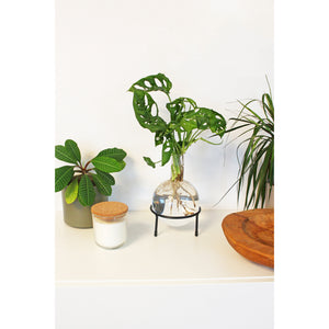 Flora Hydro Vase mit Metallständer