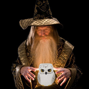 Harry Potter Schneeeule Hedwig Stiftehalter für Pflanzen, Stifte oder Krimskrams