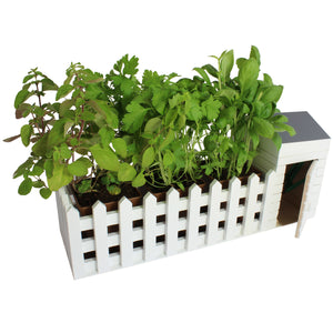 Mini Kräutergarten mit Samen, Erde, Schere und Töpfen