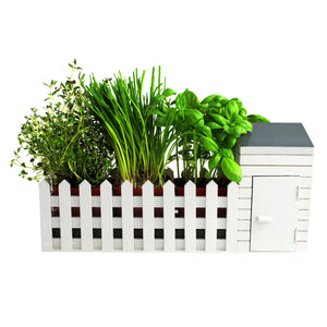 Mini Kräutergarten mit Samen, Erde, Schere und Töpfen