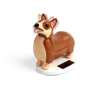 Elroy Solar Corgi Hund - Der beste Freund der Queen