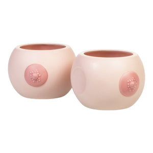 Brüste Blumentopf kleine Titten Pflanzkübel aus Keramik im 2er-Set