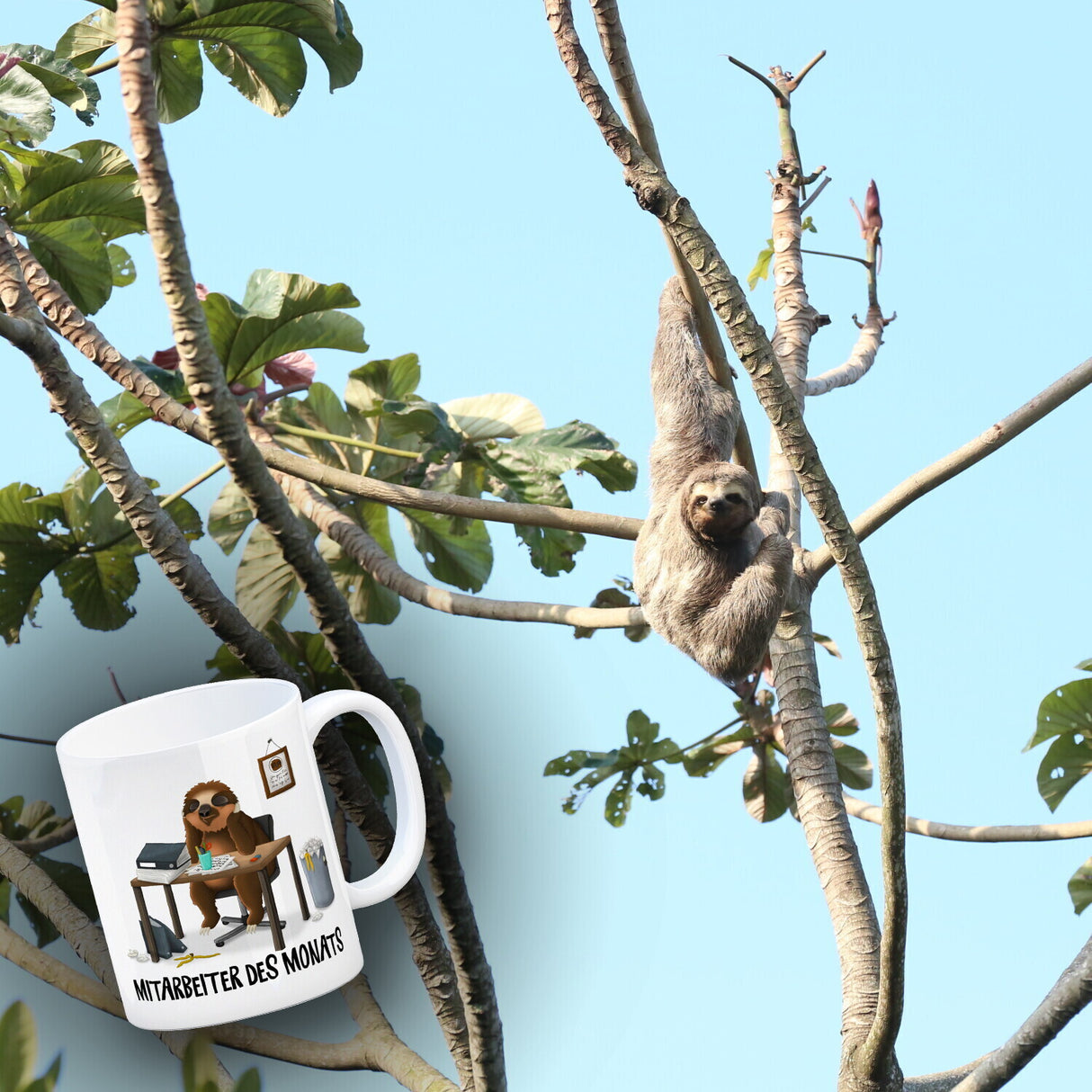 Mitarbeiter des Monats Faultier Kaffeebecher