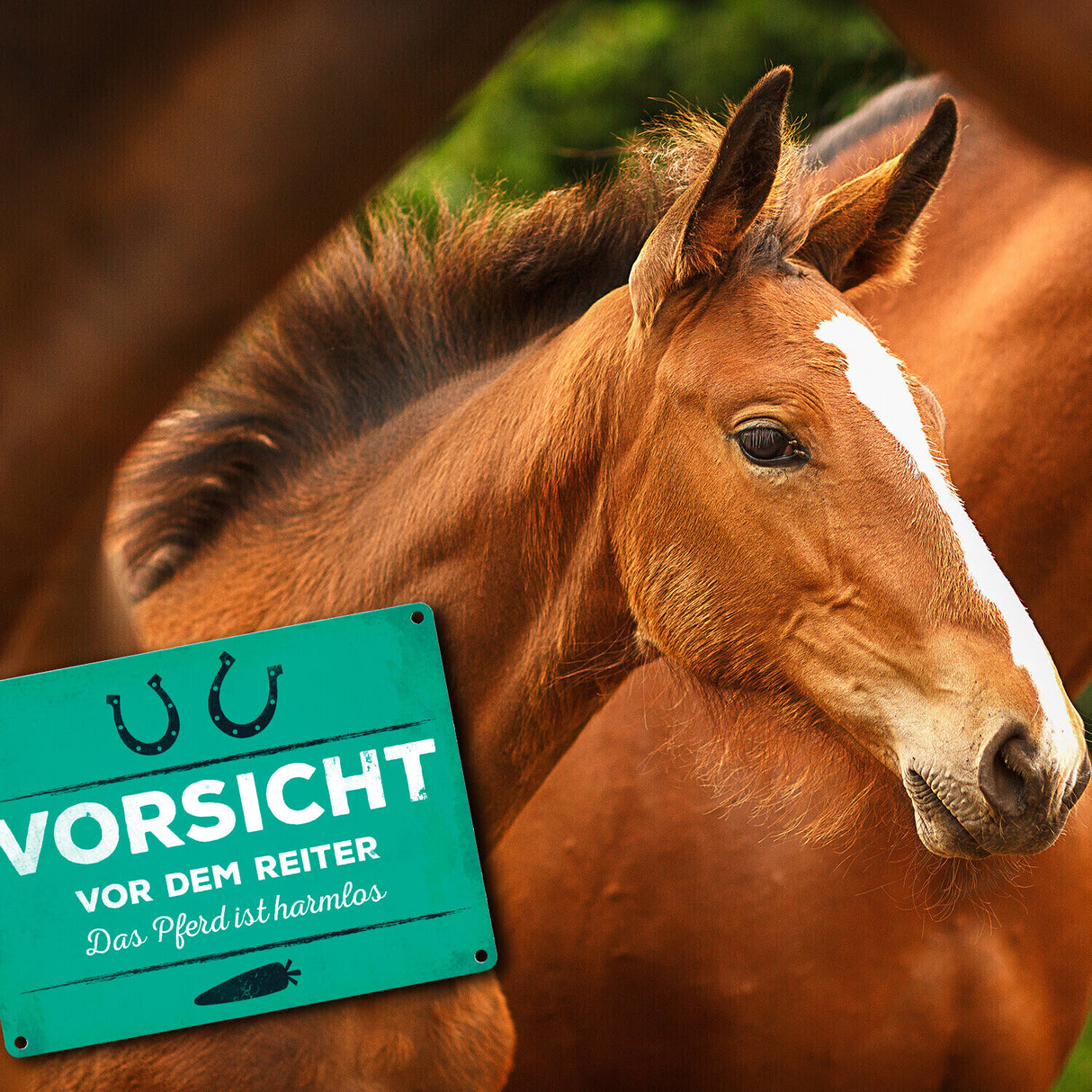 Vorsicht vor dem Reiter, das Pferd ist harmlos Metallschild