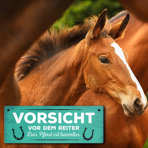 Metallschild mit Spruch: Vorsicht vor dem Reiter, das Pferd ...