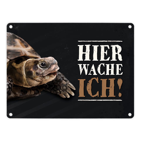 Hier wache ich! Schildkröte Metallschild