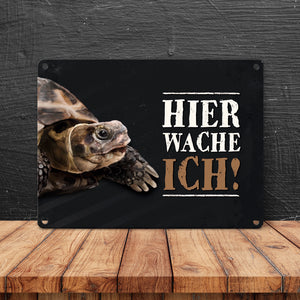 Hier wache ich! Schildkröte Metallschild