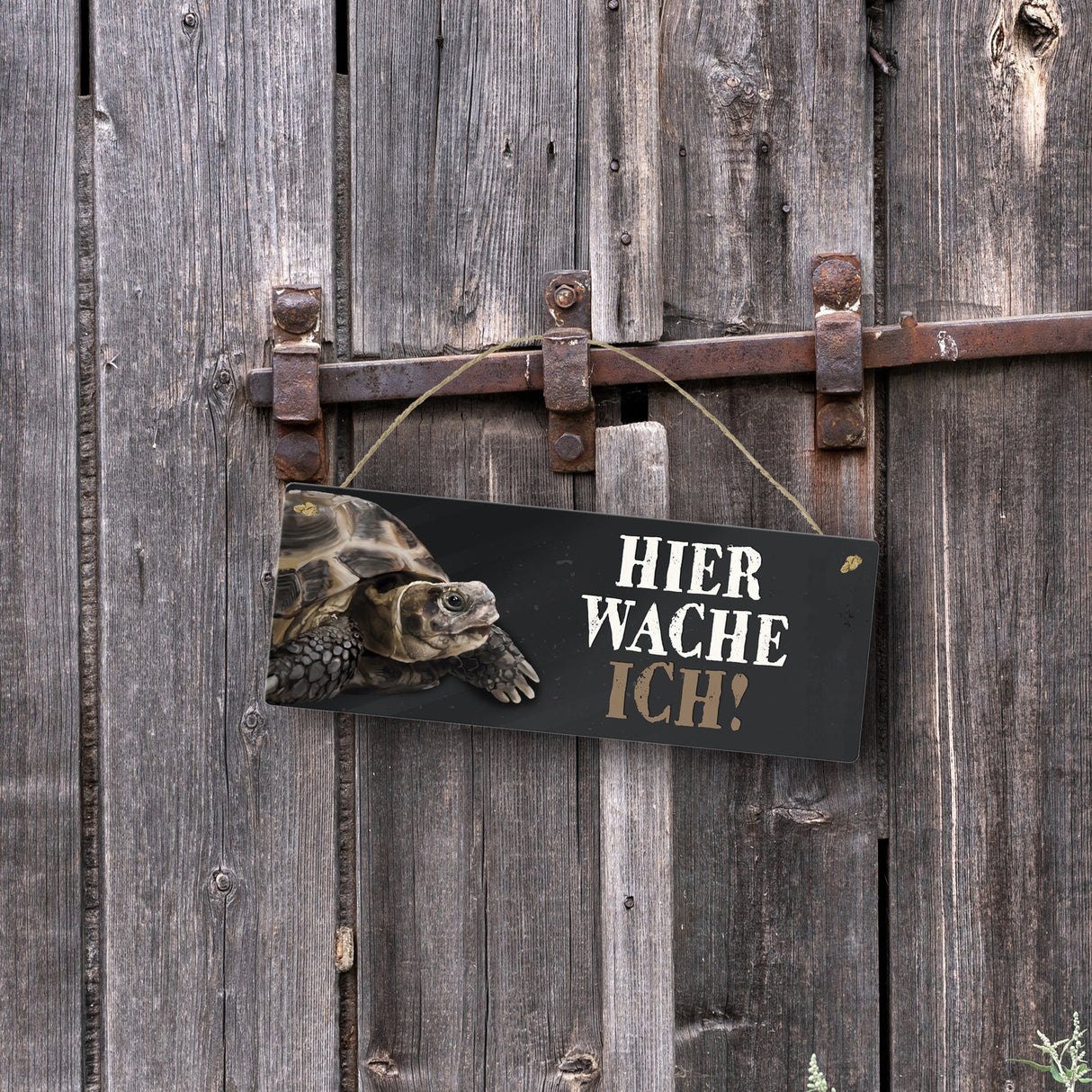 Metallschild mit Schildkröte Motiv und Spruch: Hier wache ich!