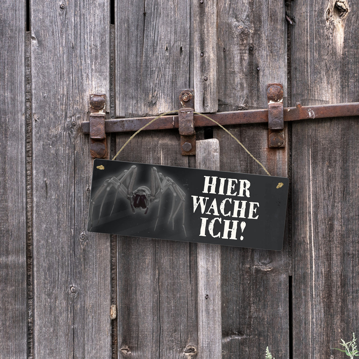 Metallschild mit Spinne Motiv und Spruch: Hier wache ich!