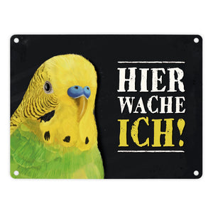 Metallschild mit Wellensittich grün Motiv und Spruch: Hier wache ich!