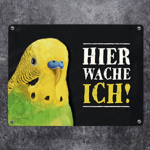 Metallschild mit Wellensittich grün Motiv und Spruch: Hier wache ich!