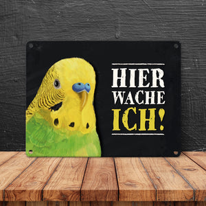 Metallschild mit Wellensittich grün Motiv und Spruch: Hier wache ich!