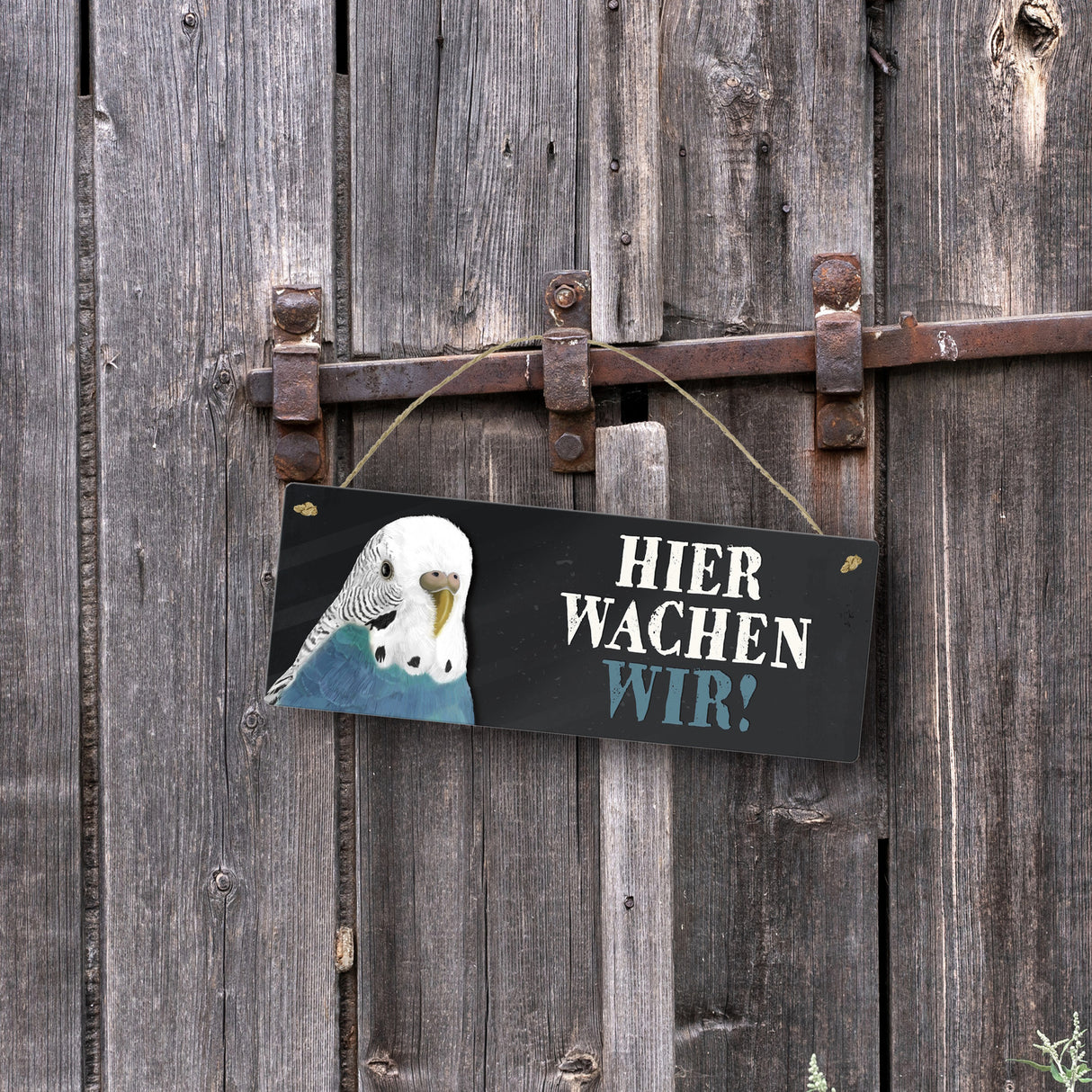 Metallschild mit Wellensittich blau Motiv und Spruch: Hier wachen wir!