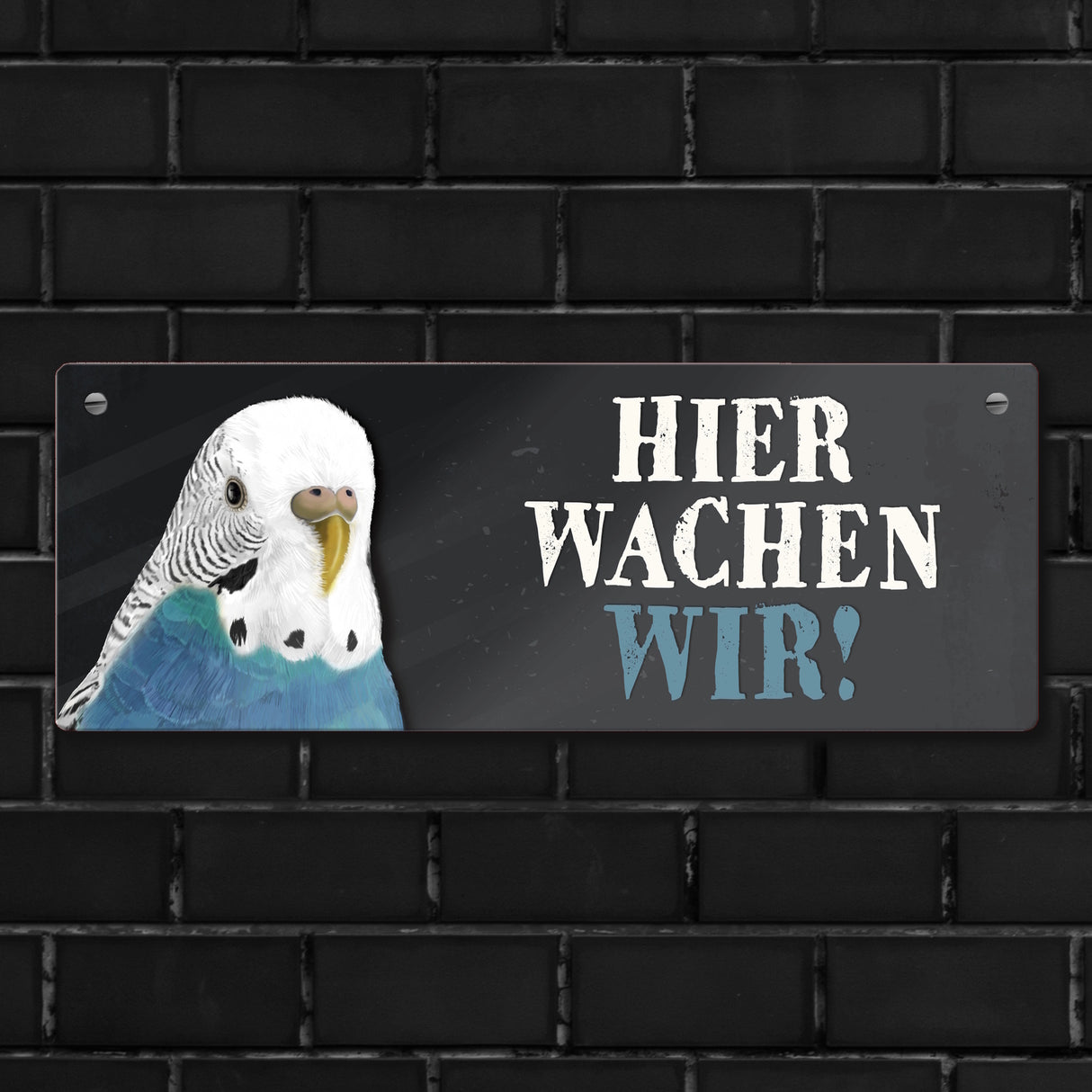 Metallschild mit Wellensittich blau Motiv und Spruch: Hier wachen wir!