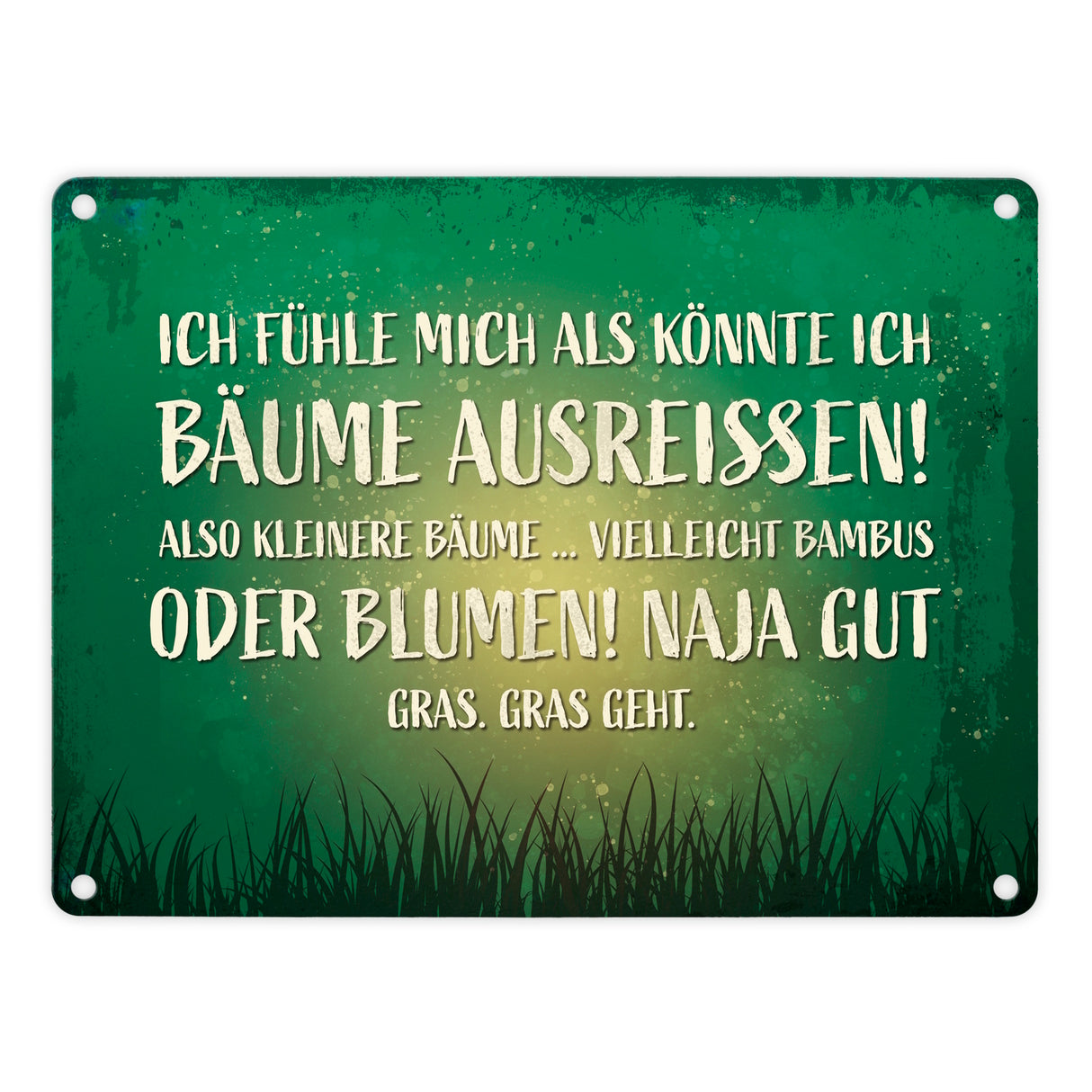 Metallschild mit Spruch: Ich fühle mich, als könnte ...